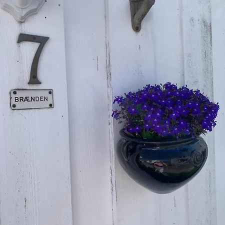 Tatil Evi Sorlandshus I Sentrum, Gaavstand Til Norges Flotteste Strender *
